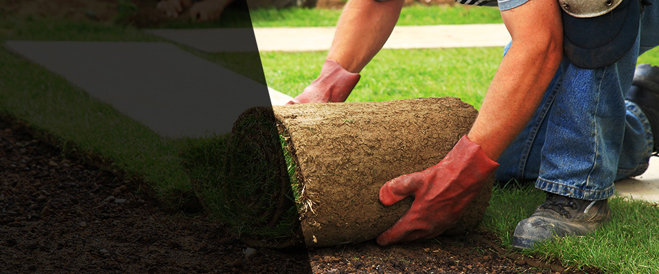 Silver Creek Landscapers